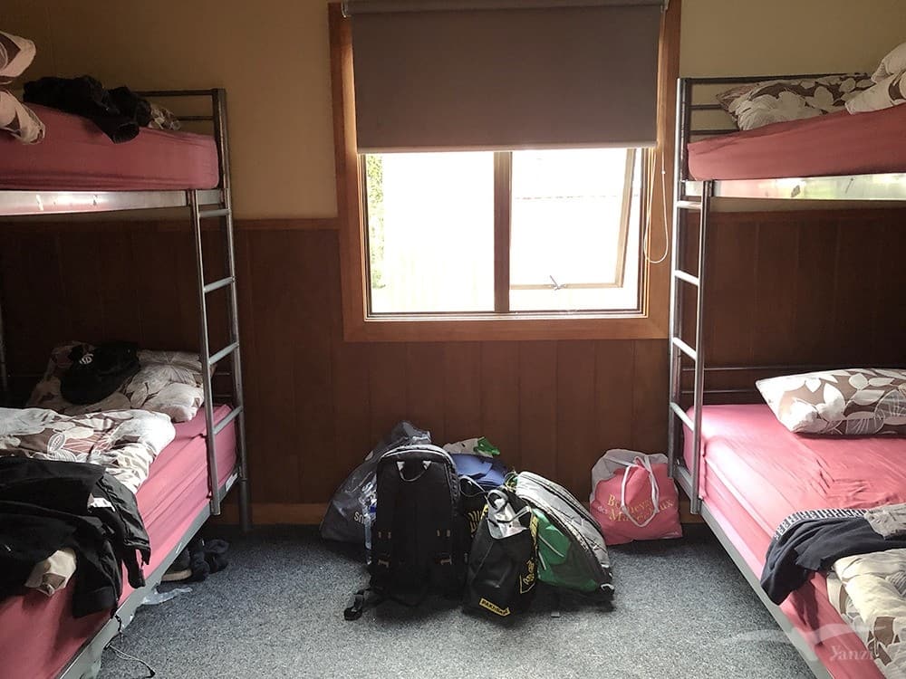 【紐西蘭D13-5】聖派翠克節派對St.Patrick’s Day｜愛爾蘭的節日？