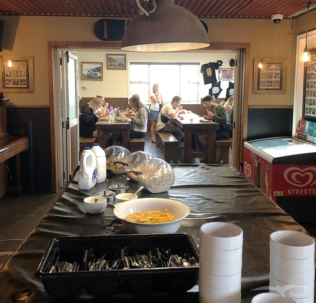 【紐西蘭D13-5】聖派翠克節派對St.Patrick’s Day｜愛爾蘭的節日？