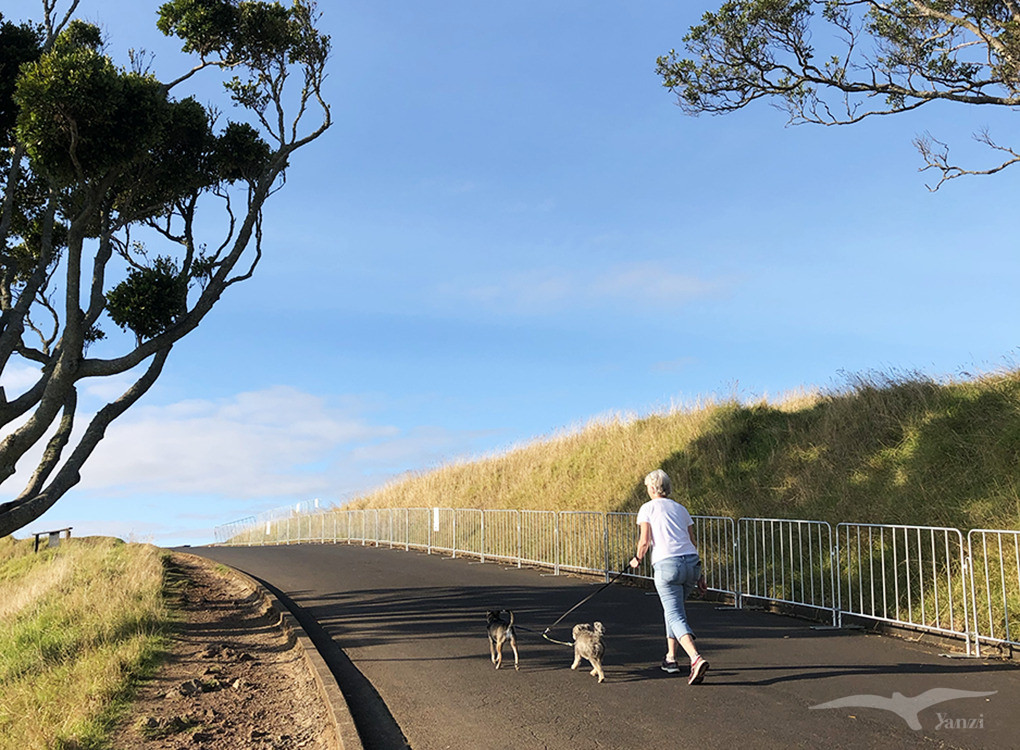奧克蘭 伊甸山 Auckland Mount Eden