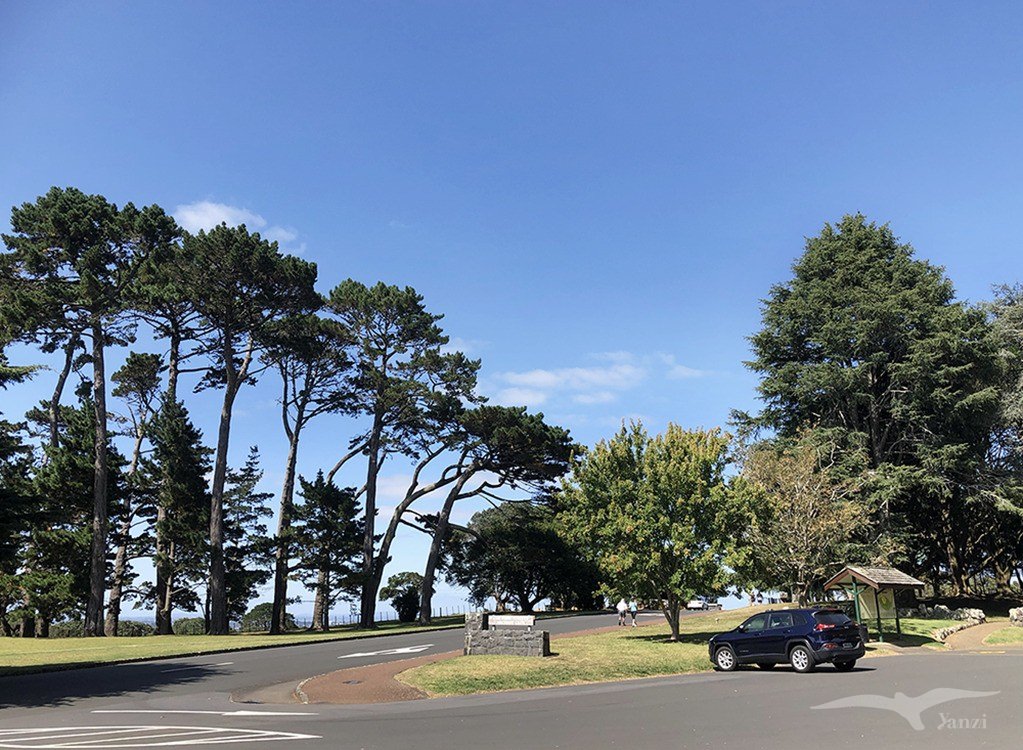 奧克蘭 獨樹山 Auckland one tree hill