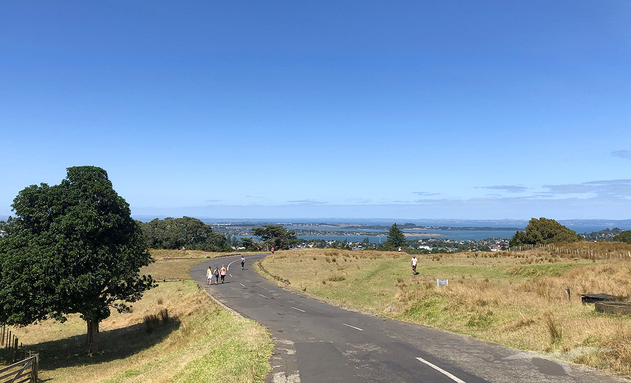 奧克蘭 獨樹山 Auckland one tree hill