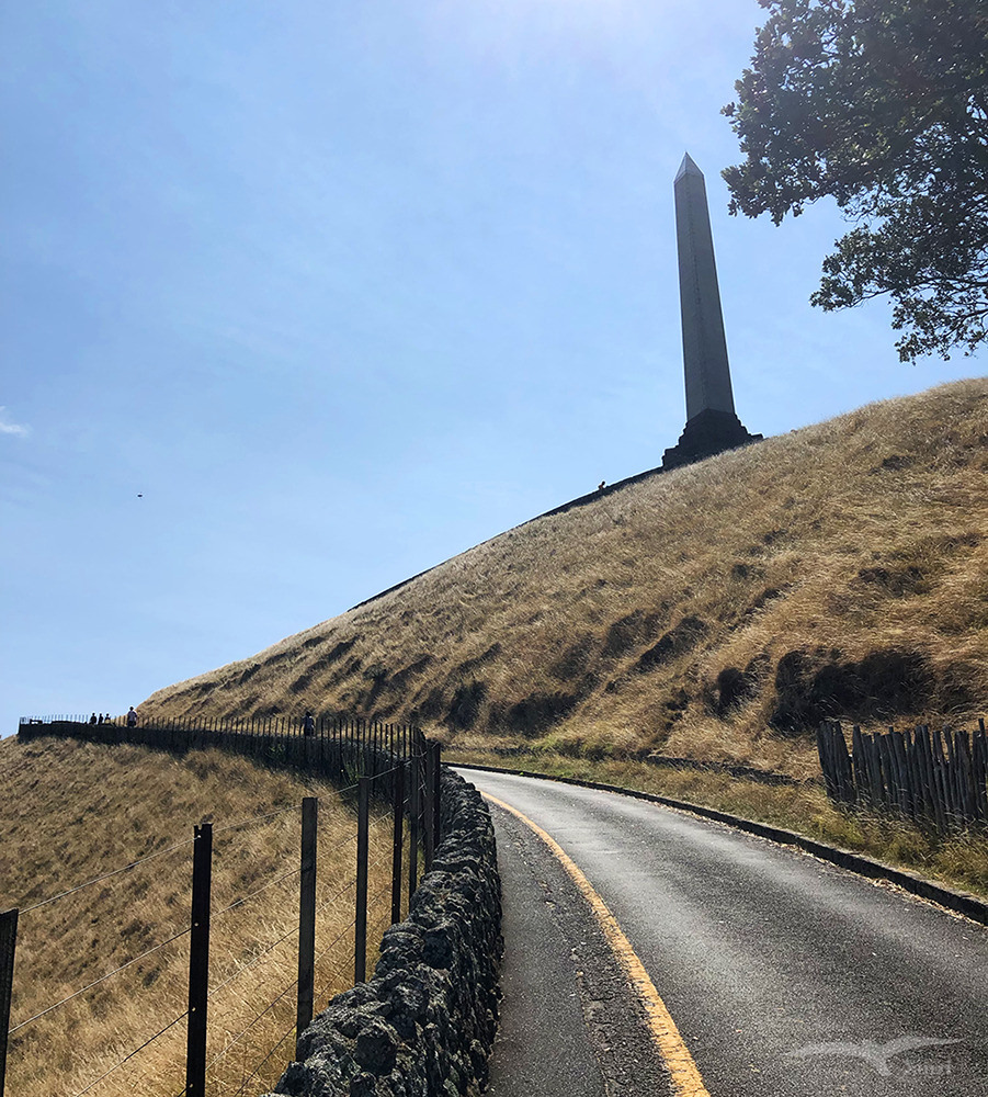 奧克蘭 獨樹山 Auckland one tree hill