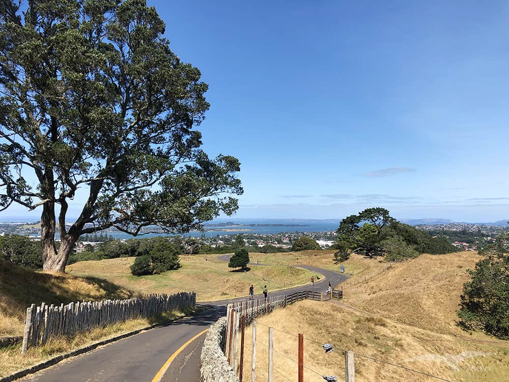 奧克蘭 獨樹山 Auckland one tree hill