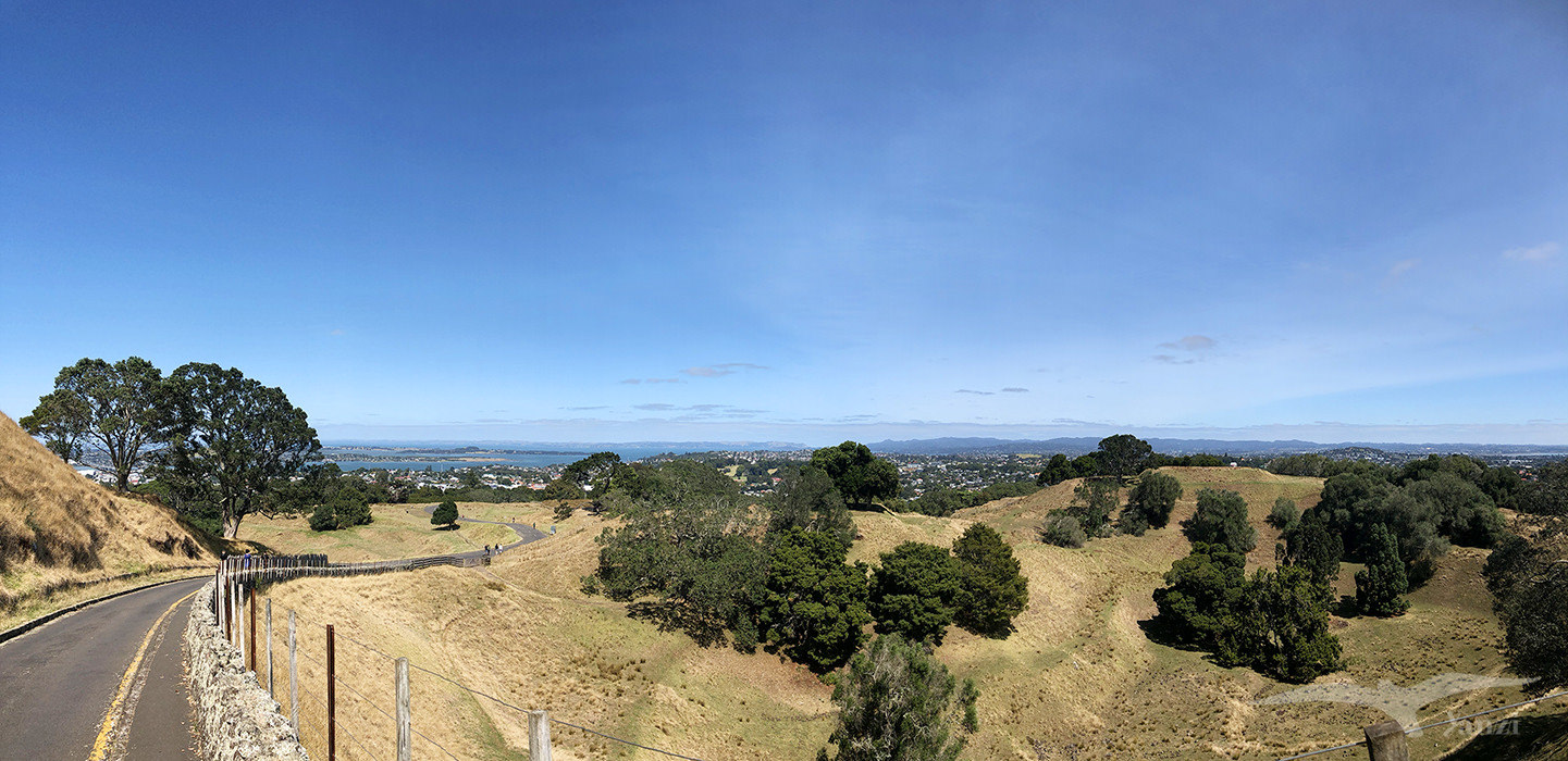 奧克蘭 獨樹山 Auckland one tree hill