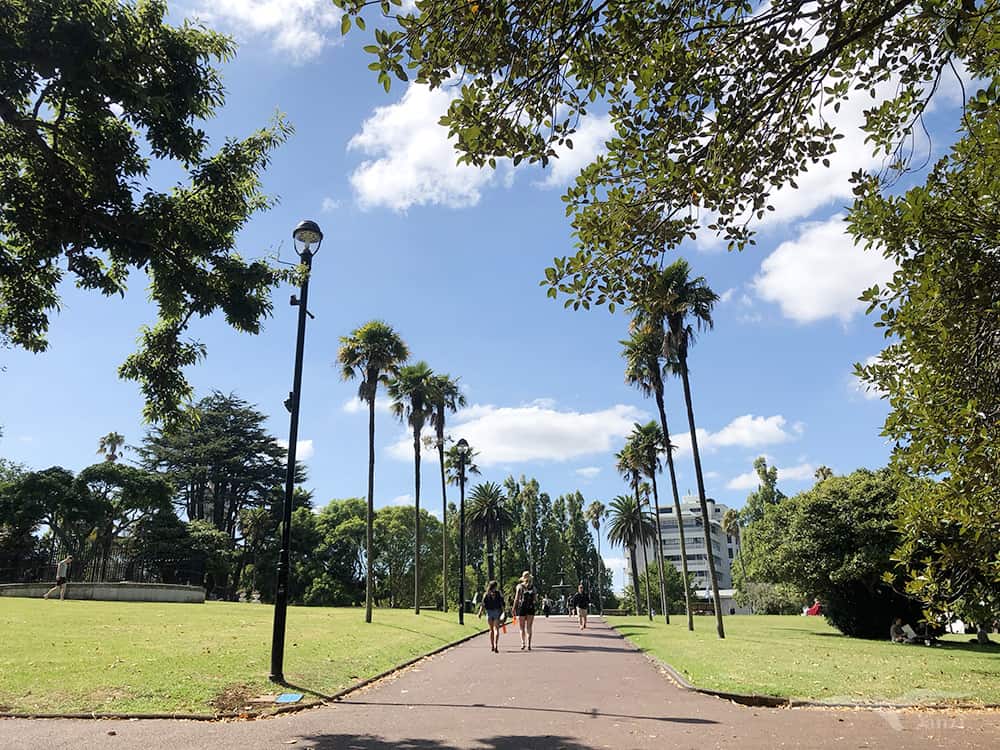 【奧克蘭市區景點】阿爾伯特公園 Albert Park|大學新生表演活動! - 第2張圖 奧克蘭 阿爾伯特公園 Auckland Albert Park