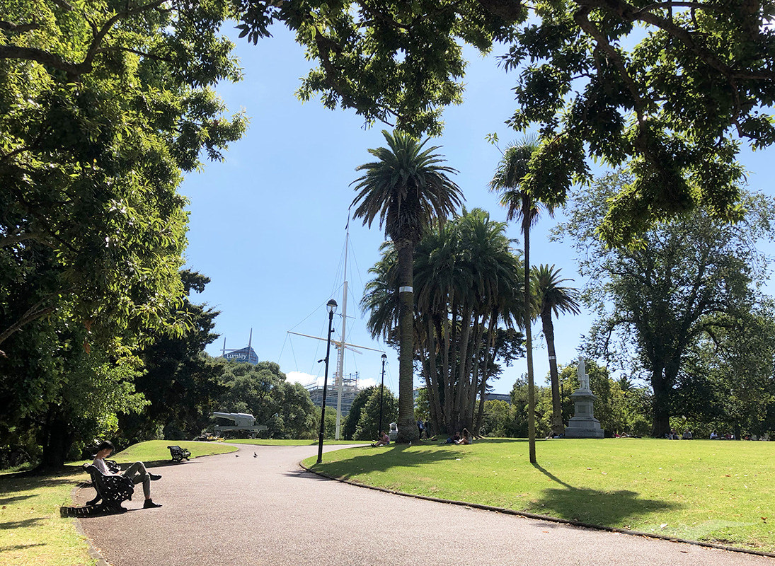 奧克蘭 阿爾伯特公園 Auckland Albert Park