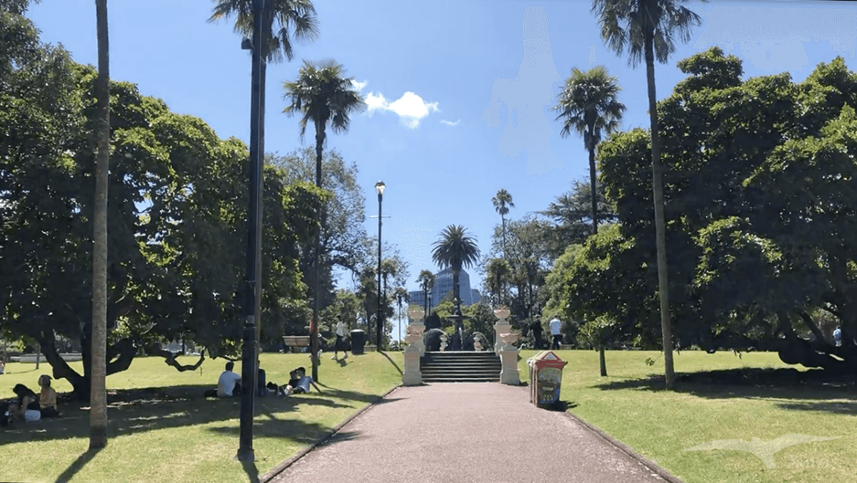 奧克蘭 阿爾伯特公園 Auckland Albert Park