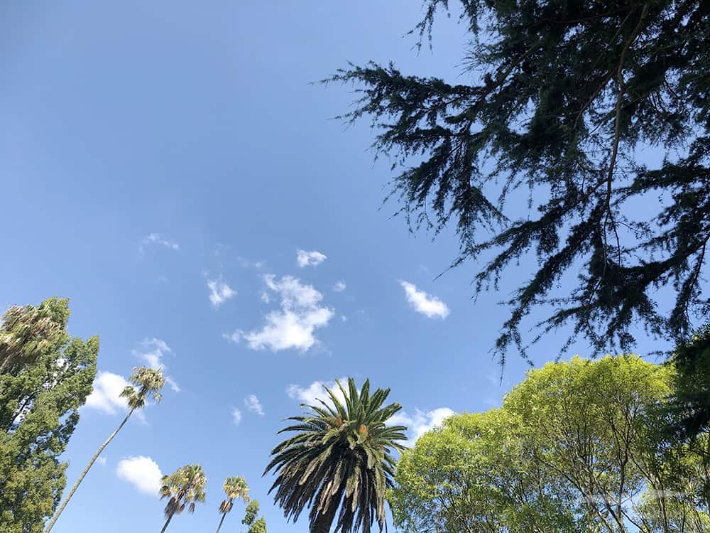 【奧克蘭市區景點】阿爾伯特公園 Albert Park|大學新生表演活動! - 第16張圖 奧克蘭 阿爾伯特公園 Auckland Albert Park 藍天 sky