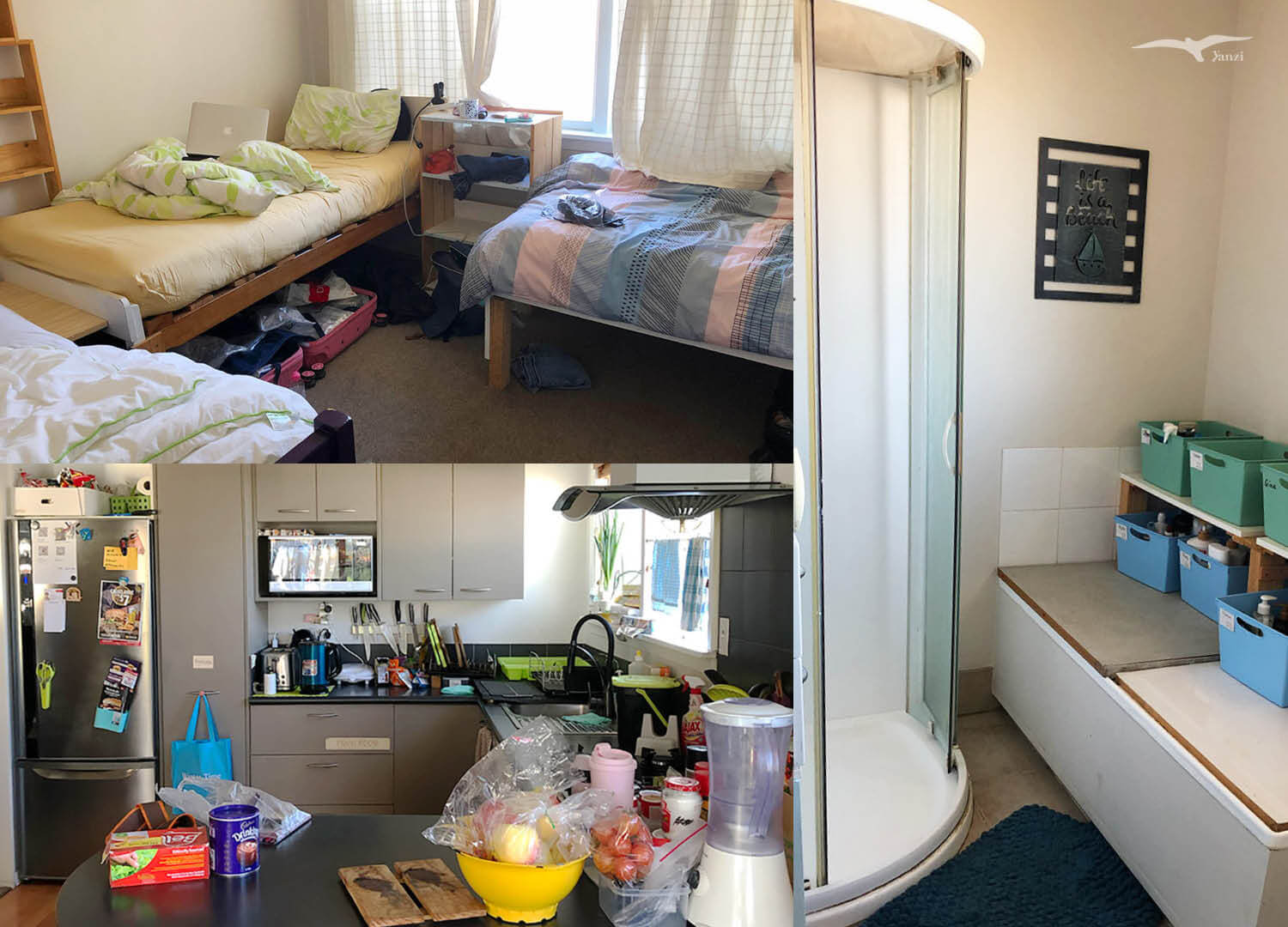 【紐西蘭住宿】青旅/背包客棧|18間YHA/BBH一個月住完! - 第27張圖