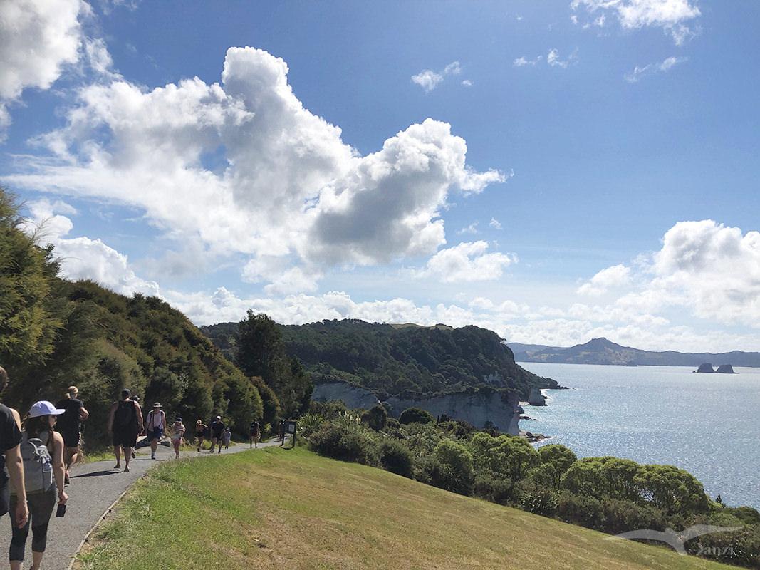 【紐西蘭D3下】教堂灣 Cathedral Cove|納尼亞傳奇拍攝地 - 第5張圖