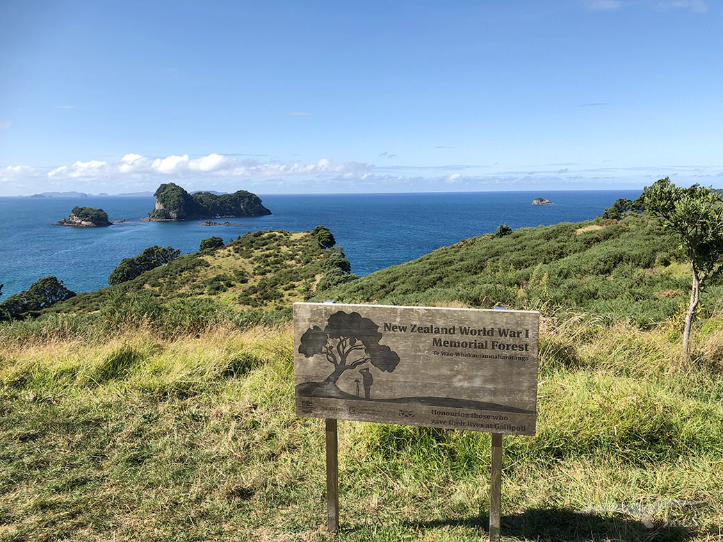 【紐西蘭D3下】教堂灣 Cathedral Cove|納尼亞傳奇拍攝地 - 第8張圖