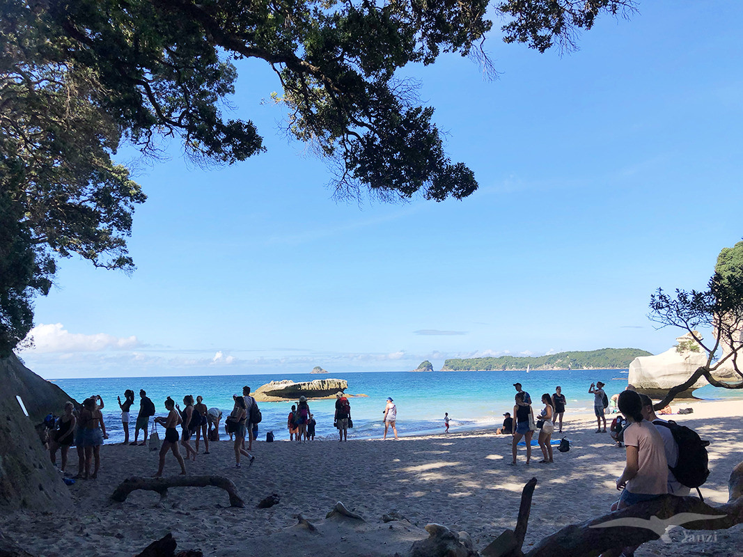 【紐西蘭D3下】教堂灣 Cathedral Cove|納尼亞傳奇拍攝地 - 第9張圖