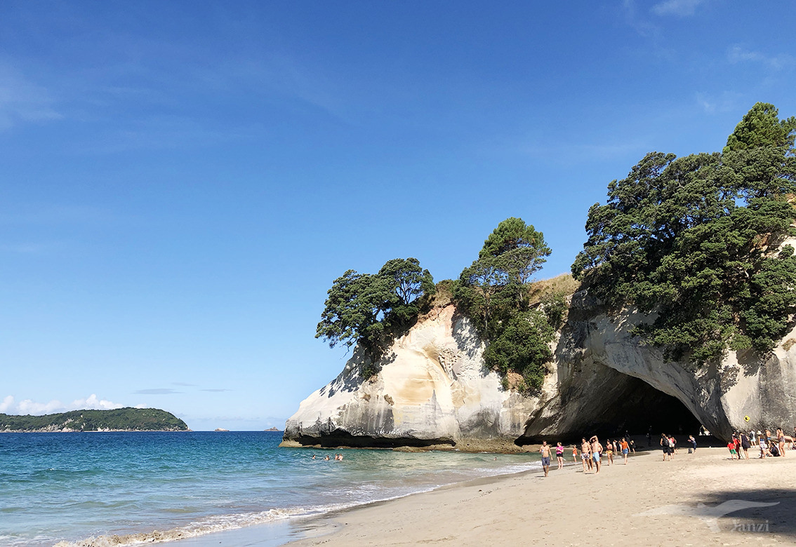 【紐西蘭D3下】教堂灣 Cathedral Cove|納尼亞傳奇拍攝地 - 第17張圖
