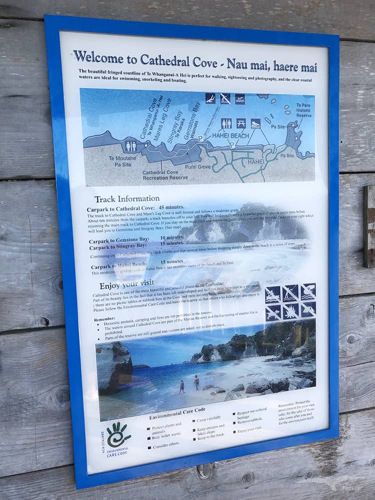 【紐西蘭D3下】教堂灣 Cathedral Cove|納尼亞傳奇拍攝地 - 第10張圖