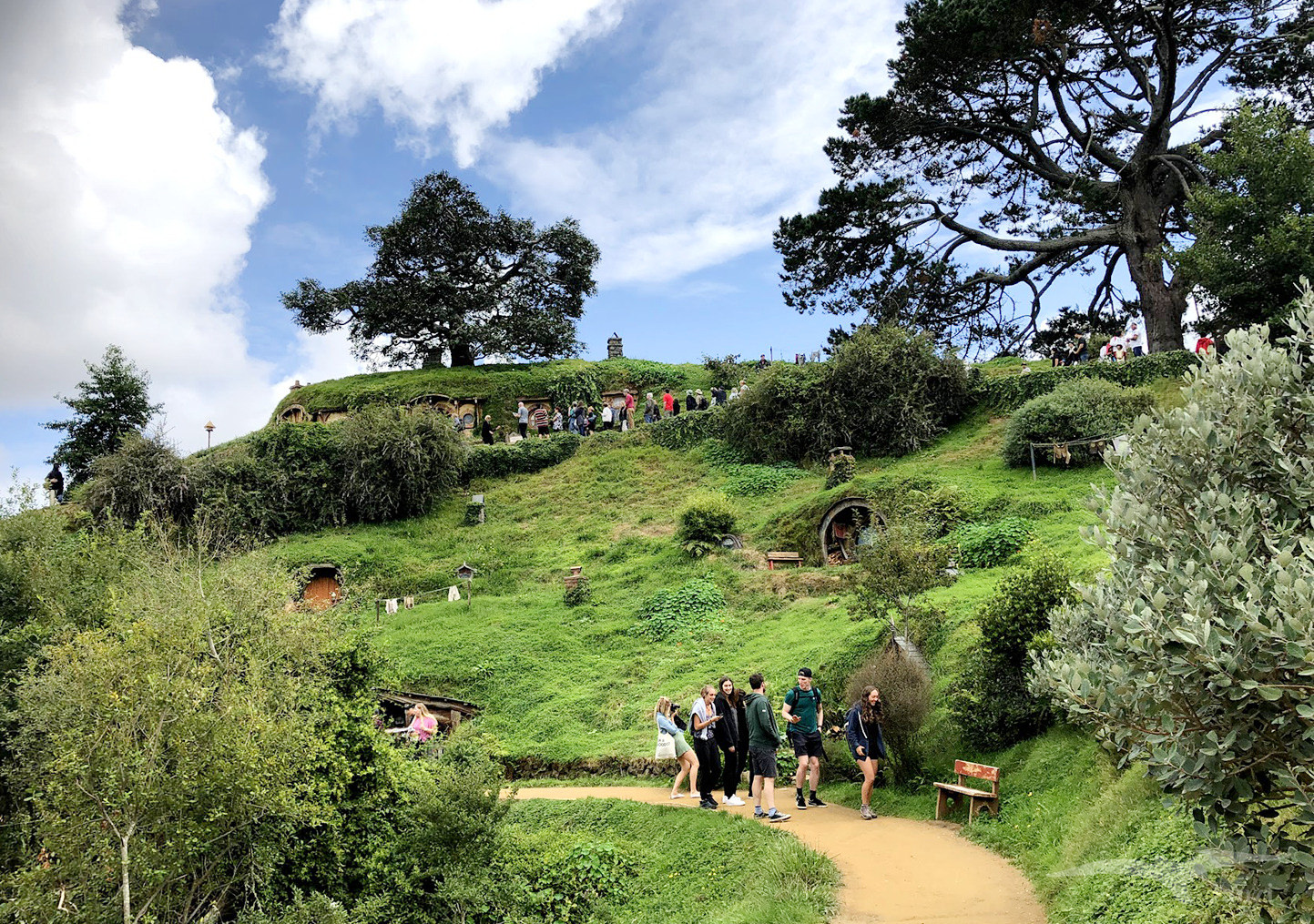 【紐西蘭D5上】哈比村 Hobbiton|魔戒拍攝地,哈比人的故鄉 - 第31張圖 【紐西蘭D5上】哈比村 Hobbiton|魔戒拍攝地,哈比人的故鄉