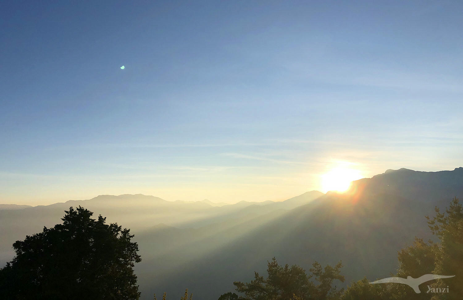 【嘉義】阿里山三日遊 開車｜行程規劃、景點、住宿｜總整理