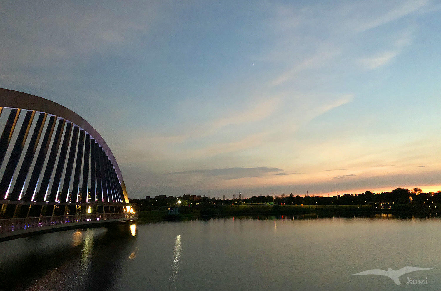 【嘉義】阿里山三日遊 開車｜行程規劃、景點、住宿｜總整理