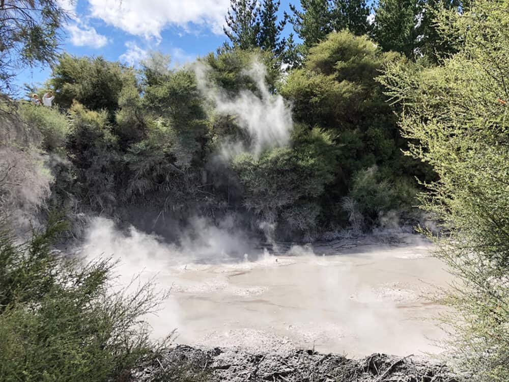羅托路亞 Rotorua 蒂普亞地熱保護區 The geothermal reserve of Te Puia