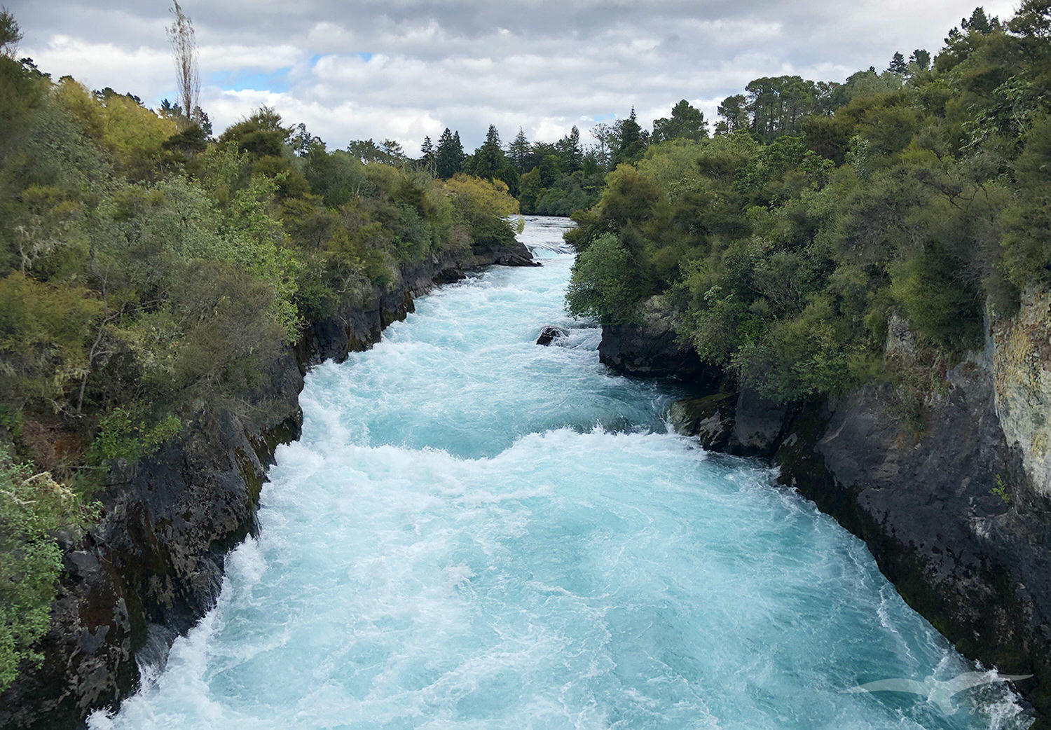 【紐西蘭D6下】陶波景點—胡卡瀑布Huka Fall|蒂芬尼藍 - 第4張圖 【紐西蘭D6下】陶波景點—胡卡瀑布Huka Fall|蒂芬尼藍
