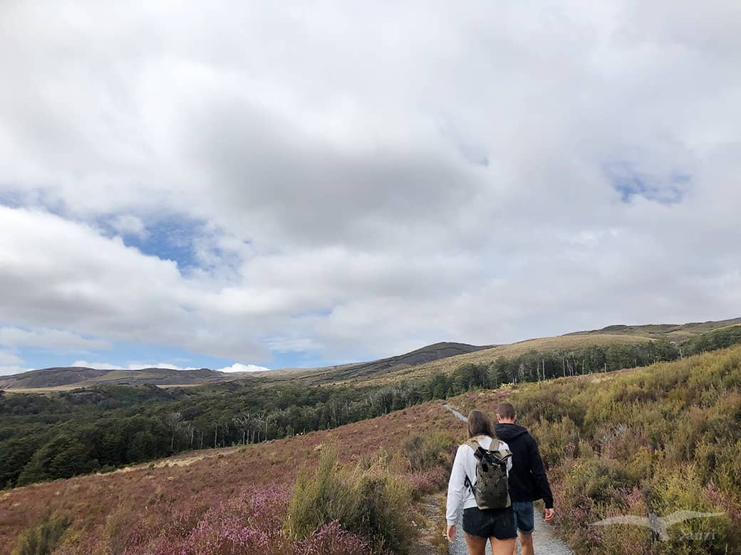 【紐西蘭D8上】東格里羅國家公園Tongariro National Park|超壯觀瀑布! - 第14張圖