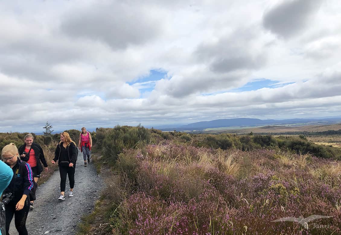 【紐西蘭D8上】東格里羅國家公園Tongariro National Park|超壯觀瀑布! - 第15張圖