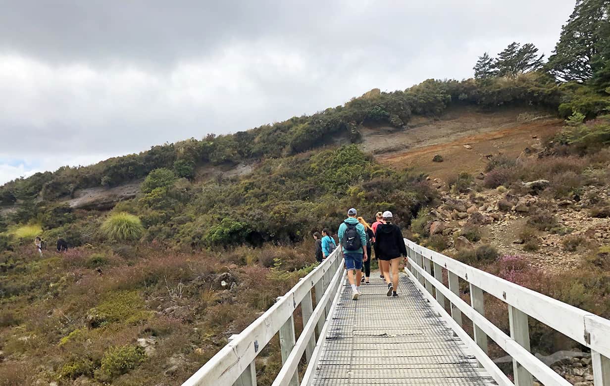 【紐西蘭D8上】東格里羅國家公園Tongariro National Park|超壯觀瀑布! - 第17張圖