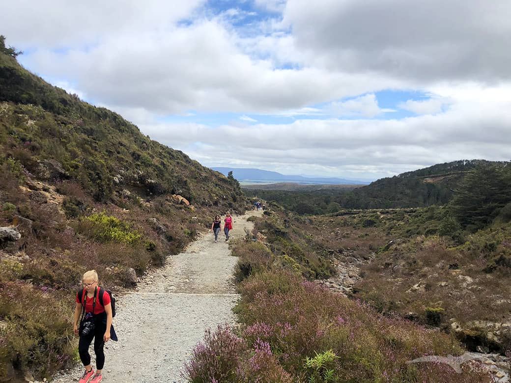 【紐西蘭D8上】東格里羅國家公園Tongariro National Park|超壯觀瀑布! - 第18張圖
