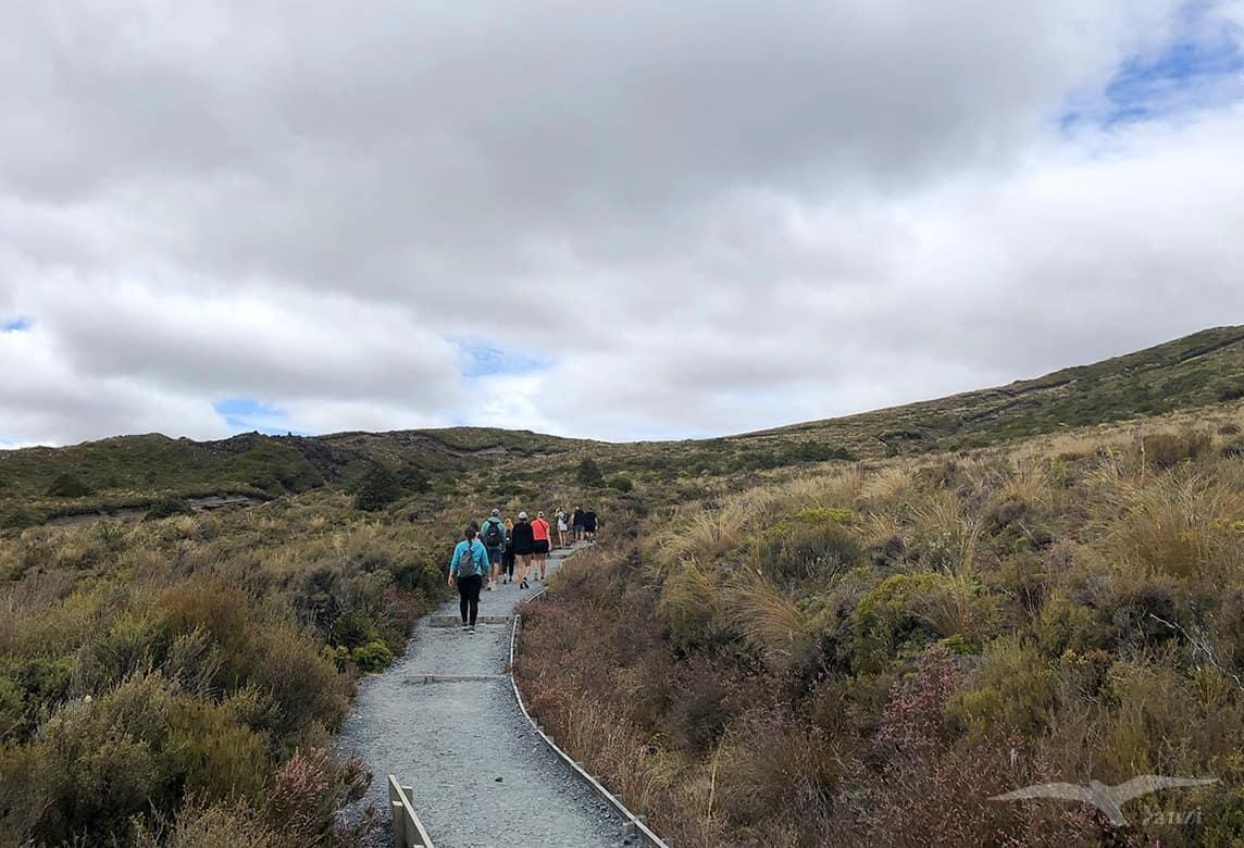 【紐西蘭D8上】東格里羅國家公園Tongariro National Park|超壯觀瀑布! - 第19張圖