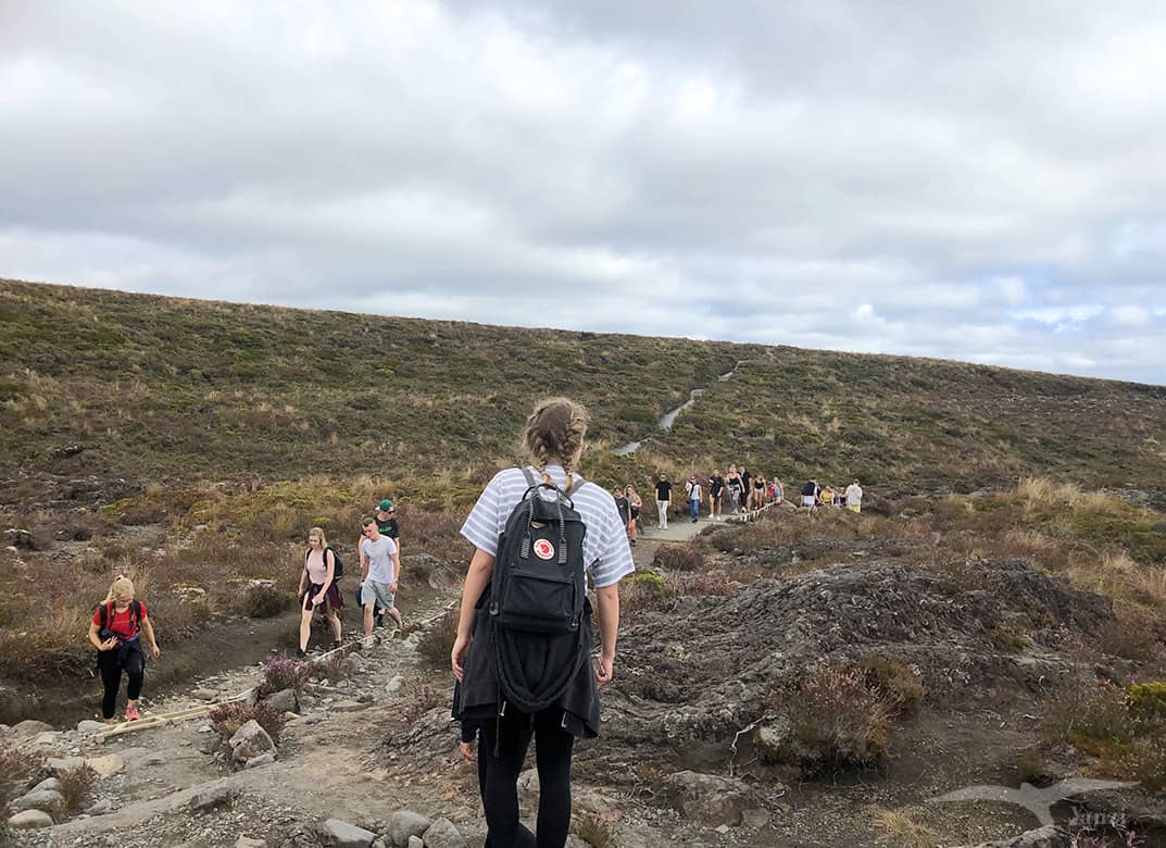 【紐西蘭D8上】東格里羅國家公園Tongariro National Park|超壯觀瀑布! - 第27張圖