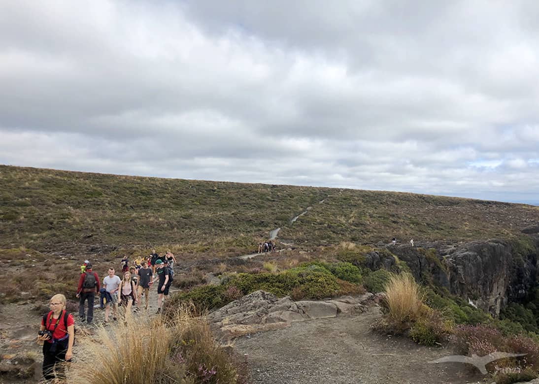 【紐西蘭D8上】東格里羅國家公園Tongariro National Park|超壯觀瀑布! - 第28張圖