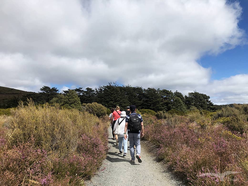 【紐西蘭D8上】東格里羅國家公園Tongariro National Park|超壯觀瀑布! - 第37張圖
