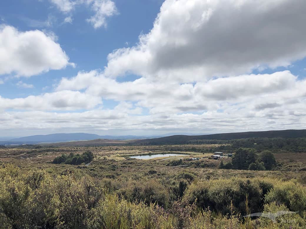 【紐西蘭D8上】東格里羅國家公園Tongariro National Park|超壯觀瀑布! - 第38張圖