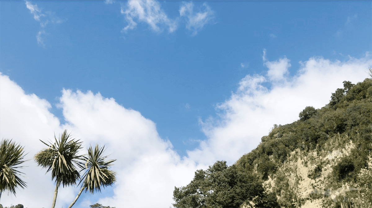 【紐西蘭D9】河谷到威靈頓｜離別的夜晚