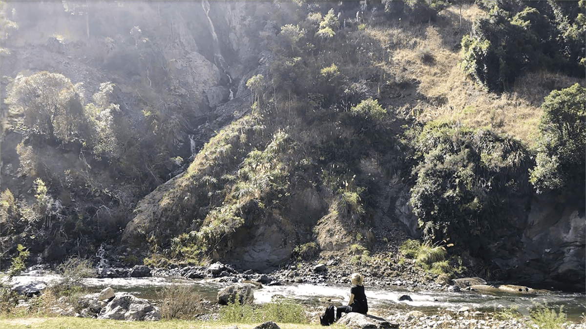 【紐西蘭D9】河谷到威靈頓｜離別的夜晚