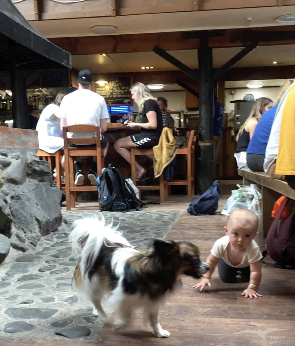 【紐西蘭D9】河谷到威靈頓｜離別的夜晚