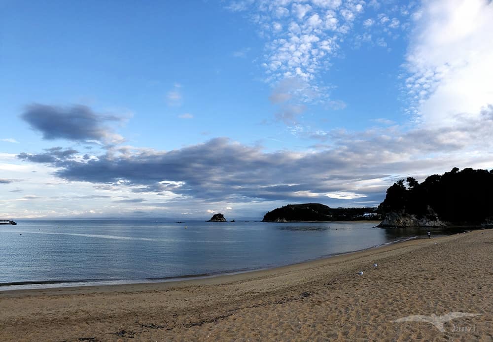 紐西蘭南島 New Zealand 凱特里特里海灘Kaiteriteri Beach