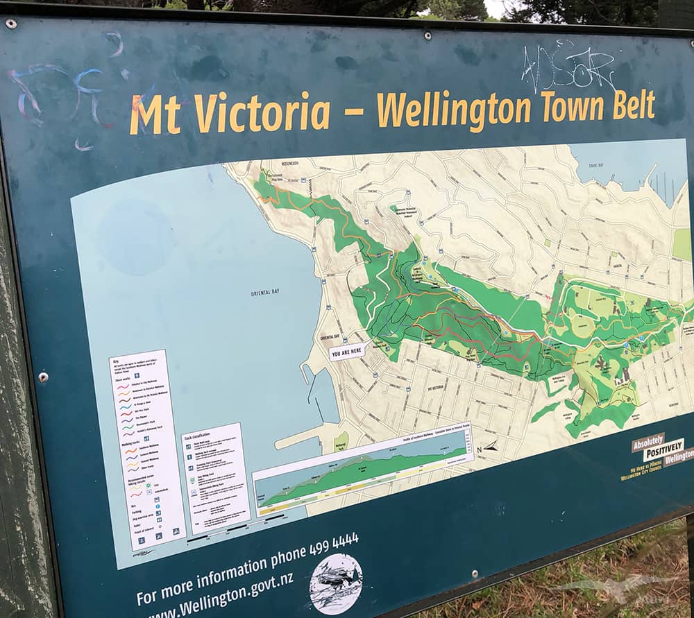 威靈頓Wellington：Mt Victoria 維多利亞山 地圖