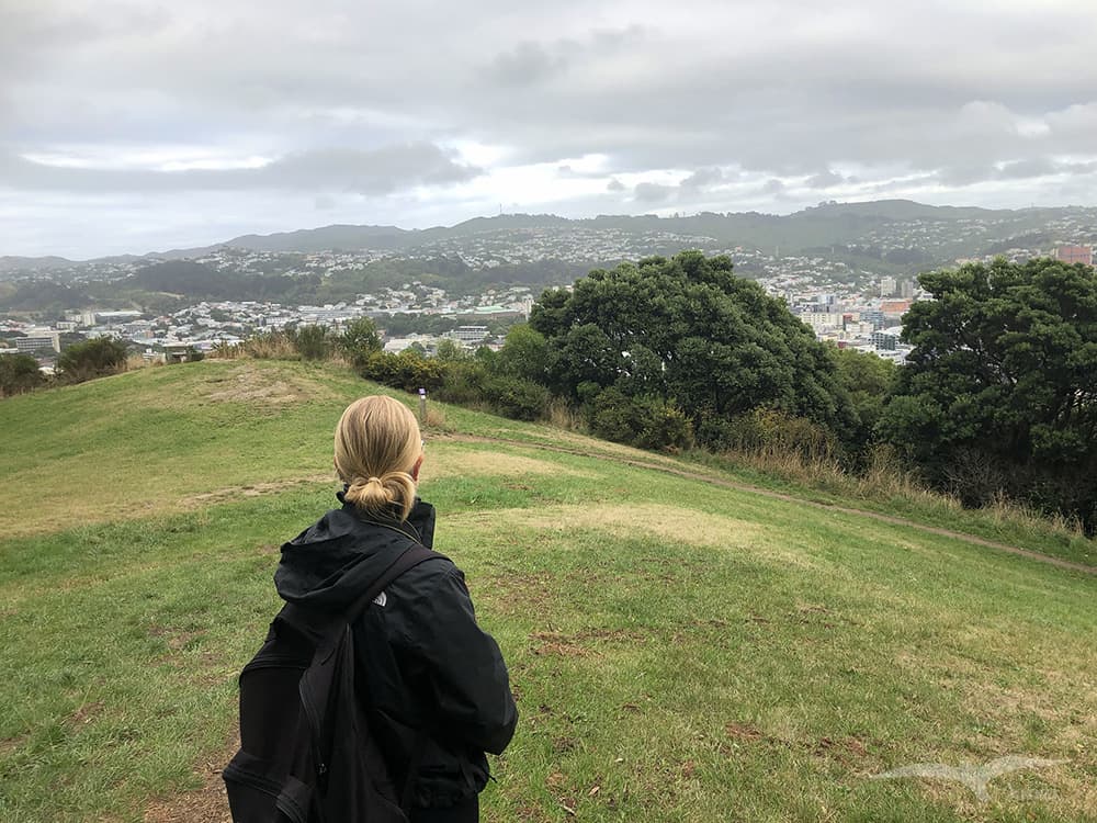 威靈頓Wellington：Mt Victoria 維多利亞山 lookout Walkway