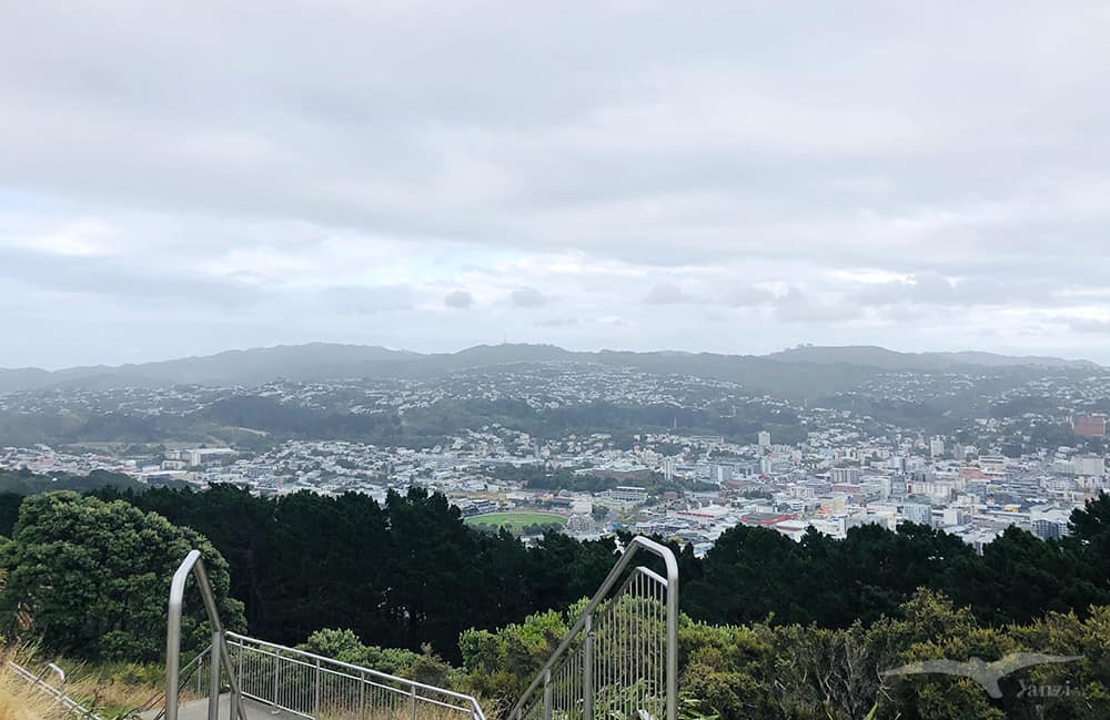 威靈頓Wellington：Mt Victoria 維多利亞山