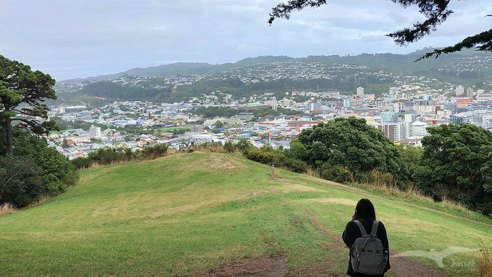 威靈頓Wellington：Mount Victoria維多利亞山 lookout Walkway