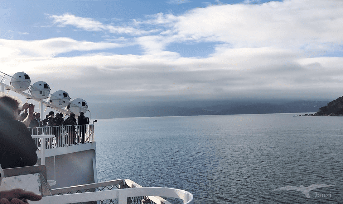 【紐西蘭D11上—搭船篇】搭Interislander渡輪前往南島｜馬爾堡峽灣的壯麗美景