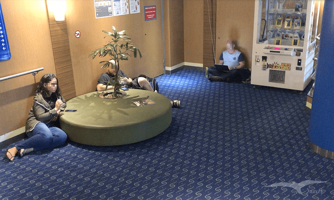 【紐西蘭D11上—搭船篇】搭Interislander渡輪前往南島｜馬爾堡峽灣的壯麗美景