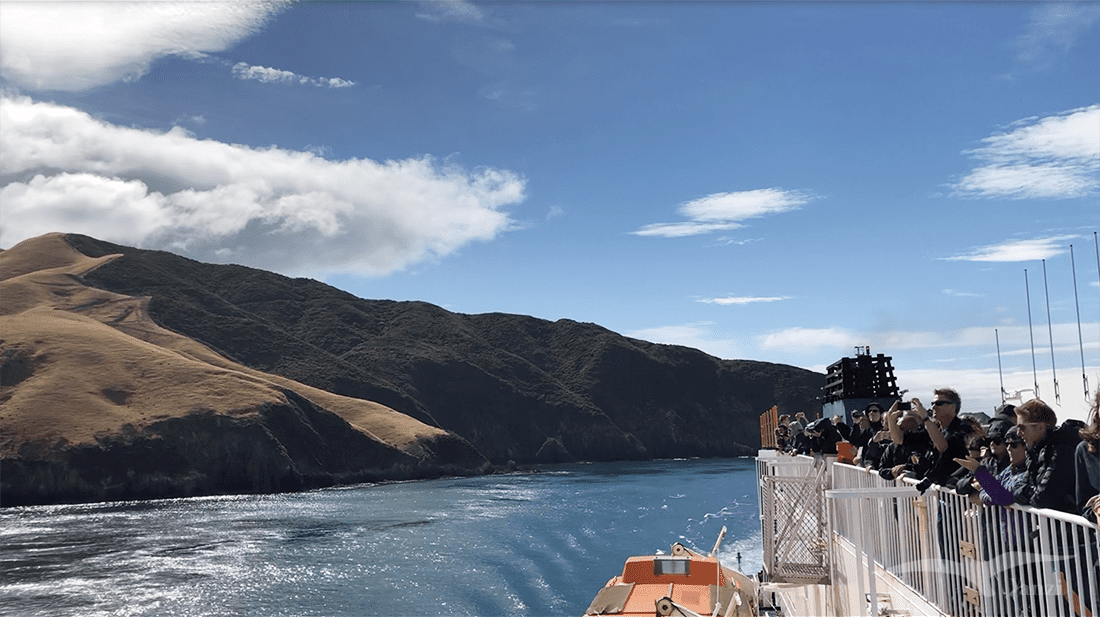 【紐西蘭D11上—搭船篇】搭Interislander渡輪前往南島｜馬爾堡峽灣的壯麗美景