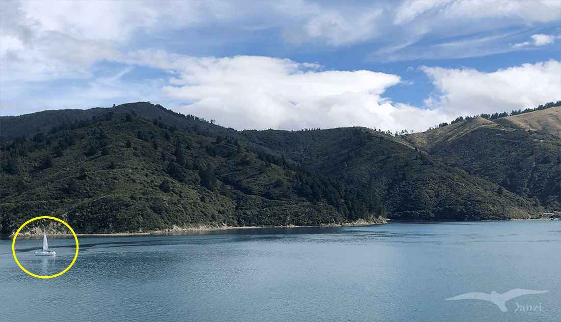 【紐西蘭D11上—搭船篇】搭Interislander渡輪前往南島｜馬爾堡峽灣的壯麗美景