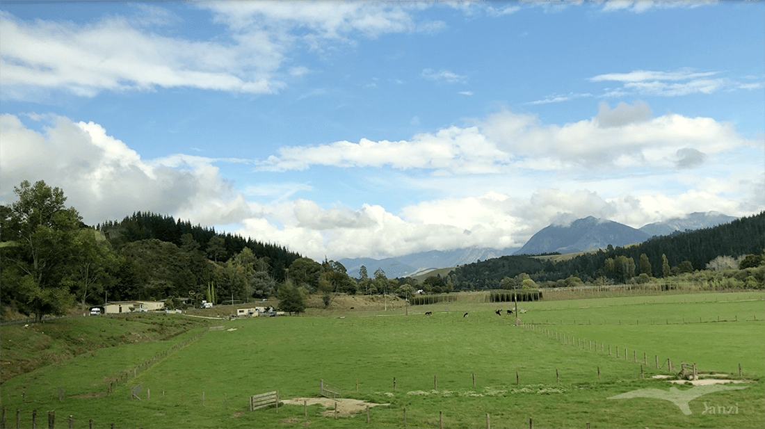【紐西蘭D12】偉斯特波特Westport、尼爾森湖國家公園Lake Rotoiti
