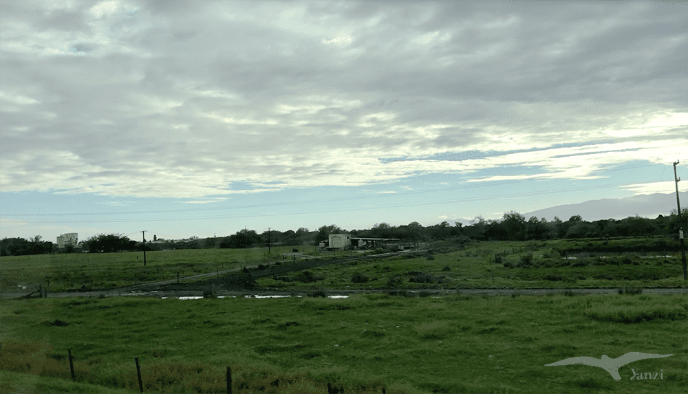 【紐西蘭D13-1】逆風角步道Cape Foulwind Walkway｜野生海狗！