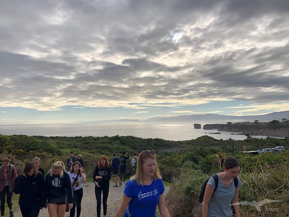 紐西蘭南島 逆風角步道 Cape Foulwind Walkway 清晨