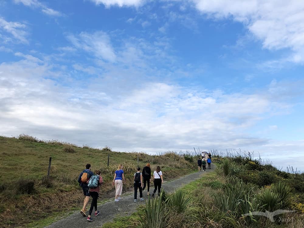 【紐西蘭D13-1】逆風角步道Cape Foulwind Walkway|野生海狗! - 第17張圖 紐西蘭南島 逆風角步道 Cape Foulwind Walkway
