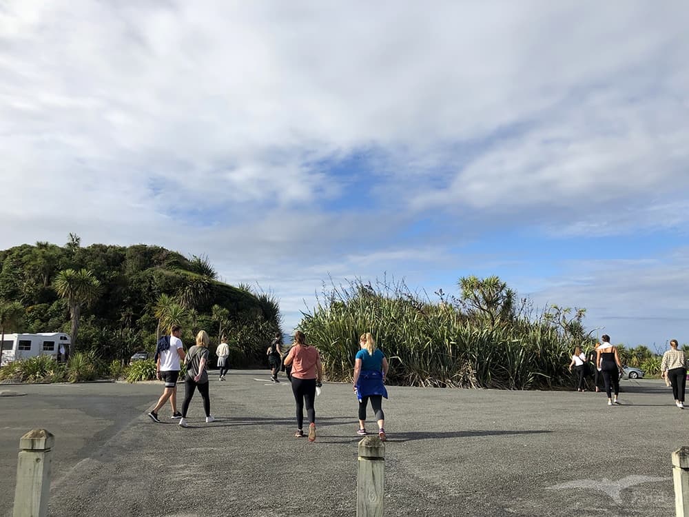 【紐西蘭D13-1】逆風角步道Cape Foulwind Walkway|野生海狗! - 第53張圖 陶朗加灣 Tauranga Bay Seal Colony Road, West Coast