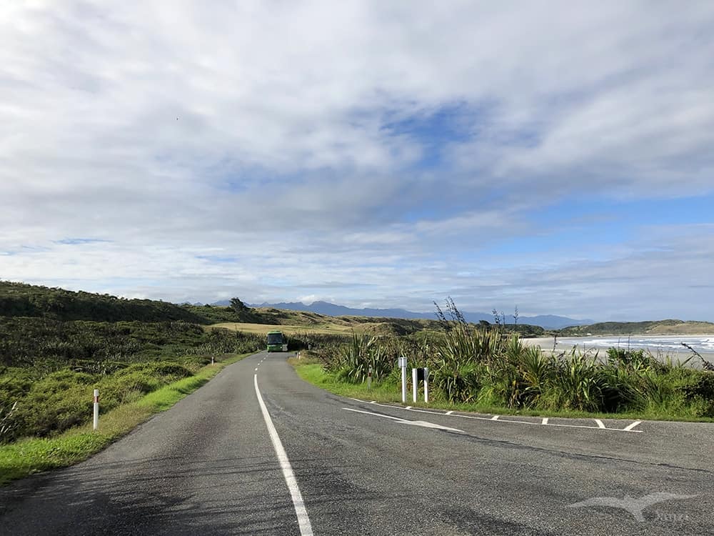 【紐西蘭D13-1】逆風角步道Cape Foulwind Walkway|野生海狗! - 第54張圖 陶朗加灣 Tauranga Bay Seal Colony Road, West Coast